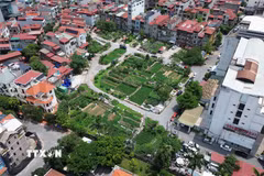 Toàn cảnh Dự án Sau Thuần, phường Võ Cường, tỉnh Bắc Ninh. (Ảnh: Thái Hùng/TTXVN)