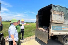 Lực lượng chức năng Hà Tĩnh kiểm tra, phát hiện và thu giữ hơn 1 tấn lòng, mỡ, da trâu bò không rõ nguồn gốc xuất xứ, bốc mùi hôi trên xe tải. (Ảnh: TTXVN phát)