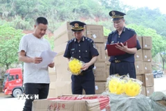 Lực lượng Hải quan cửa khẩu Cốc Nam (Lạng Sơn) tra soát mã, chủng loại hàng nhập khẩu qua cửa khẩu. (Ảnh: Quang Duy/TTXVN)