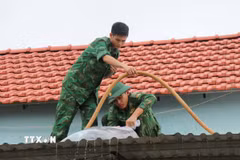 Các cán bộ chiến sỹ Đồn biên phòng Đức Minh giúp người dân xã Mỏ Cày (Quảng Ngãi) gia cố nhà cửa trước bão số 13. (Ảnh: Phạm Cường/TTXVN)