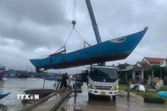 Toàn bộ tàu có công suất lớn đã được neo đậu an toàn, số phương tiện có công suất nhỏ đã được các lực lượng hỗ trợ dưa vào nơi trú ẩn an toàn. (Ảnh: Đoàn Hữu Trung/ TTXVN)