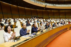 Đại biểu Quốc hội biểu quyết thông qua các luật, nghị quyết. (Ảnh: Doãn Tấn/TTXVN)