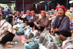 Tại những dãy bán sản vật đồng quê không khí luôn vui tươi và nhộn nhịp và mang đậm hồn quê. (Ảnh: Đức Thọ/TTXVN)