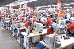 Kim ngạch thương mại hai chiều Việt Nam-CPTPP ước đạt 102,1 tỷ USD