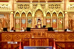 Chủ tịch Diễn đàn Phụ nữ Việt Nam tại châu Âu, Tiến sỹ Phan Bích Thiện phát biểu tại Diễn đàn "Định vị giá trị Việt ở nước ngoài trong kỷ nguyên số". (Ảnh: Phương Hoa/TTXVN)