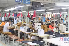 Nhiều ngành hàng chật vật hoàn thành kế hoạch xuất khẩu cả năm 