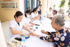 Với sự hỗ trợ của Trung tâm y tế Hải Dương, trong 9 ngày triển khai khám sức khỏe cho người cao tuổi, đã có hơn 730 trường hợp được khám, tư vấn. (Ảnh: Mạnh Minh/TTXVN)