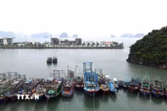 Khu vực cảng Ao Tiên, Đặc khu Vân Đồn, tỉnh Quảng Ninh. (Ảnh: TTXVN phát)