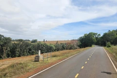 Một cột mốc biên giới trên tuyến biên giới Việt Nam-Campuchia, đoạn qua xã Quảng Trực, tỉnh Lâm Đồng. (Ảnh: Hưng Thịnh/TTXVN)