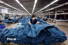 Doanh nghiệp đa dạng thị trường để thúc đẩy xuất khẩu. (Ảnh: TTXVN)