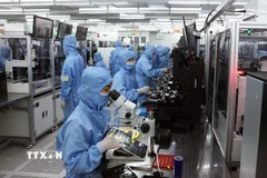 Dây chuyền sản xuất module camera và linh kiện điện tử xuất khẩu tại nhà máy của Công ty trách nhiệm hữu hạn MCNEX VINA (100% vốn Hàn Quốc), khu công nghiệp Phúc Sơn, tỉnh Ninh Bình. (Ảnh: Vũ Sinh/TTXVN)