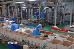 Công ty TNHH Long Hải, Cụm công nghiệp 1, phường Thạch Khôi, thành phố Hải Phòng, mỗi năm sản xuất hàng trăm tấn sản phẩm tiêu thụ trong nước và xuất khẩu. (Ảnh: Trần Việt/TTXVN)
