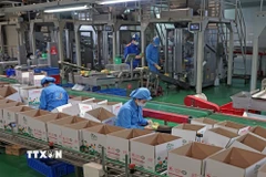 Công ty TNHH Long Hải, Cụm công nghiệp 1, phường Thạch Khôi, thành phố Hải Phòng mỗi năm sản xuất hàng trăm tấn sản phẩm tiêu thụ trong nước và xuất khẩu. (Ảnh: Trần Việt/TTXVN)