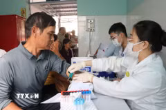 Bác sỹ thực hiện lấy máu để tầm soát bệnh cho đối tượng người cao tuổi. (Ảnh: Nguyên Dung/TTXVN)