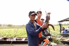 Nông dân và du khách khoe thành phẩm dỡ chà cá. (Ảnh: Hồng Nhung/TTXVN)