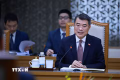 Thủ tướng Lê Minh Hưng tiếp Trưởng đại diện Quỹ Tiền tệ quốc tế tại Việt Nam. (Ảnh: Dương Giang/TTXVN)