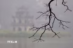 Không khí Hà Nội ở mức không lành mạnh. (Nguồn: TTXVN)