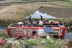 (Ảnh minh họa: TTXVN phát)