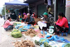 Bà con bày bán những sản vật thôn bản lên phiên chợ vùng cao Minh Tân (Tuyên Quang). (Ảnh: Đức Thọ/TTXVN)