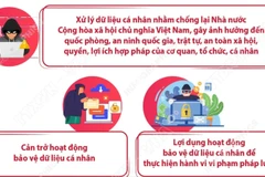 Luật Bảo vệ dữ liệu cá nhân: Các hành vi bị nghiêm cấm từ ngày 1/1/2026 