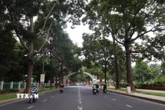 Những tuyến phố rợp bóng cây xanh tại Buôn Ma Thuột. (Ảnh: Kha Phạm/TTXVN)