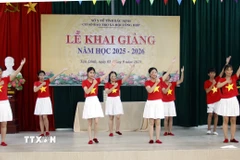 Tiết mục văn nghệ do các em khuyết tật tại Cơ sở Bảo trợ xã hội tổng hợp tỉnh Bắc Ninh biểu diễn. (Ảnh: Đồng Thúy/TTXVN)