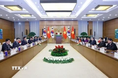 Chủ tịch Quốc hội Trần Thanh Mẫn hội đàm với Chủ tịch Quốc hội Đại Hàn Dân Quốc Woo Won Shik. (Ảnh: Doãn Tấn/TTXVN)