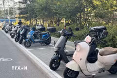 Triệt phá đường dây buôn lậu hơn 500 xe điện ba bánh từ Trung Quốc về Thanh Hóa