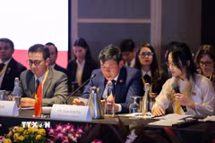 Phó Tổng Kiểm toán nhà nước Việt Nam Doãn Anh Thơ phát biểu tại Đại hội. (Ảnh: TTXVN phát)