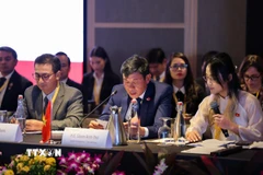 Phó Tổng Kiểm toán nhà nước Việt Nam Doãn Anh Thơ phát biểu tại Đại hội. (Ảnh: TTXVN phát)