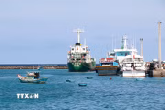 Tàu vận tải công suất lớn neo đậu tại cảng cá đặc khu Phú Quý (Lâm Đồng). (Ảnh: Nguyễn Thanh/TTXVN)