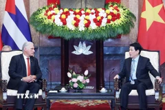 Chủ tịch nước Lương Cường hội kiến Bí thư thứ Nhất Đảng Cộng sản Cuba, Chủ tịch nước Cuba Miguel Díaz-Canel Bermúdez. (Ảnh: Lâm Khánh/TTXVN)