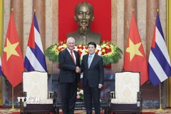 Chủ tịch nước Lương Cường hội kiến Bí thư thứ Nhất Đảng Cộng sản Cuba, Chủ tịch nước Cuba Miguel Díaz-Canel Bermúdez. (Ảnh: Lâm Khánh/TTXVN)