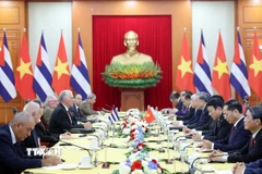 Tổng Bí thư Tô Lâm hội đàm với Bí thư thứ Nhất Đảng Cộng sản Cuba, Chủ tịch nước Cuba Miguel Díaz-Canel Bermúdez. (Ảnh: Thống Nhất/ TTXVN)