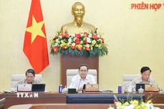 Chủ tịch Quốc hội Trần Thanh Mẫn phát biểu. (Ảnh: Doãn Tấn/TTXVN)