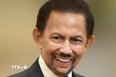 Quốc vương Brunei Darussalam Haji Hassanal Bolkiah. (Ảnh: TTXVN phát)