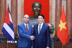 Chủ tịch nước Lương Cường tiếp Đại sứ Cộng hòa Cuba tại Việt Nam Rogelio Polanco Fuentes. (Ảnh: Lâm Khánh/ TTXVN)