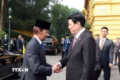 Chủ tịch nước Lương Cường đón Quốc vương Brunei Darussalam Haji Hassanal Bolkiah. (Ảnh: Lâm Khánh/TTXVN)