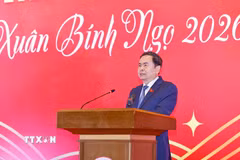 Chủ tịch Quốc hội Trần Thanh Mẫn phát biểu chúc Tết. (Ảnh: Doãn Tấn/TTXVN)