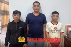 An Giang: Tạm giữ 5 đối tượng săn bắt trái phép động vật quý hiếm tại Phú Quốc