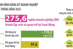 Số doanh nghiệp thành lập mới và quay trở lại hoạt động tăng 26,1% 