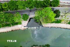 Điểm đầu sông Tô Lịch (đoạn đường Bưởi) nước cống ngầm từ phía Phan Kế Bính xả thẳng nước sinh hoạt chưa qua xử lý. (Ảnh: Lê Đông/TTXVN)