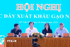 Lãnh đạo Bộ Công Thương, Ủy ban Nhân dân thành phố Cần Thơ, Hiệp hội Lương thực Việt Nam chủ trì hội nghị. (Ảnh: Thanh Liêm/TTXVN)
