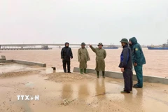 Đoàn công tác Bộ Chỉ huy Quân sự tỉnh Quảng Trị kiểm tra công tác phóng chống bão lũ tại Hải đội dân quân thường trực tỉnh Quảng Trị. (Ảnh: TTXVN phát)