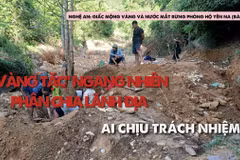 "Vàng tặc" ngang nhiên phân chia lãnh địa: Ai chịu trách nhiệm?