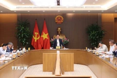 Phó Thủ tướng Hồ Đức Phớc chủ trì cuộc họp về dự thảo Nghị định cơ cấu lại vốn nhà nước tại doanh nghiệp. (Ảnh: An Đăng/TTXVN)