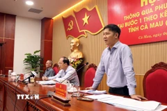 Ông Nguyễn Thành Tâm, Ủy viên Trung ương Đảng, Phó trưởng Ban Tổ chức Trung ương phát biểu tại hội nghị. (Ảnh: Kim Há/TTXVN)