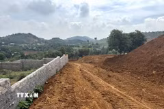 Tường bao kiên cố được dựng lên ngay trên đất đồi Ba Vành (Ba Vì, Hà Nội). (Ảnh: Quốc Lũy/TTXVN)