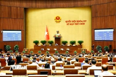 Quốc hội thông qua Luật sửa đổi, bổ sung một số điều của Bộ luật Hình sự. (Ảnh: Doãn Tấn/TTXVN)