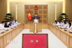 Phó Thủ tướng Hồ Đức Phớc, Trưởng Ban Chỉ đạo Phòng, chống rửa tiền chủ trì họp Ban chỉ đạo. (Ảnh: An Đăng/TTXVN)